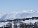 Find the Snow